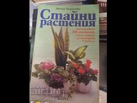 Стайни растения