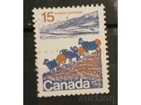 Καναδάς Πανίδα