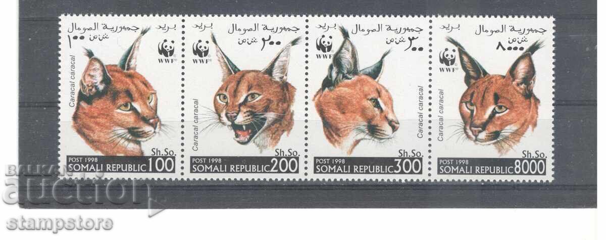 Сомалия - хищни котки