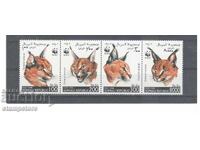 Somalia - Carnivorous Cats