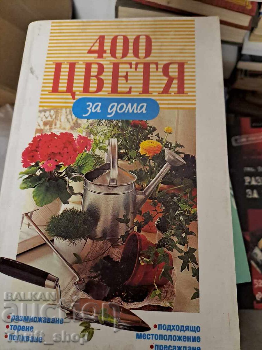 400 flori pentru casă 400 flori pentru casă