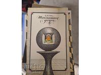 Шахматнье досуги