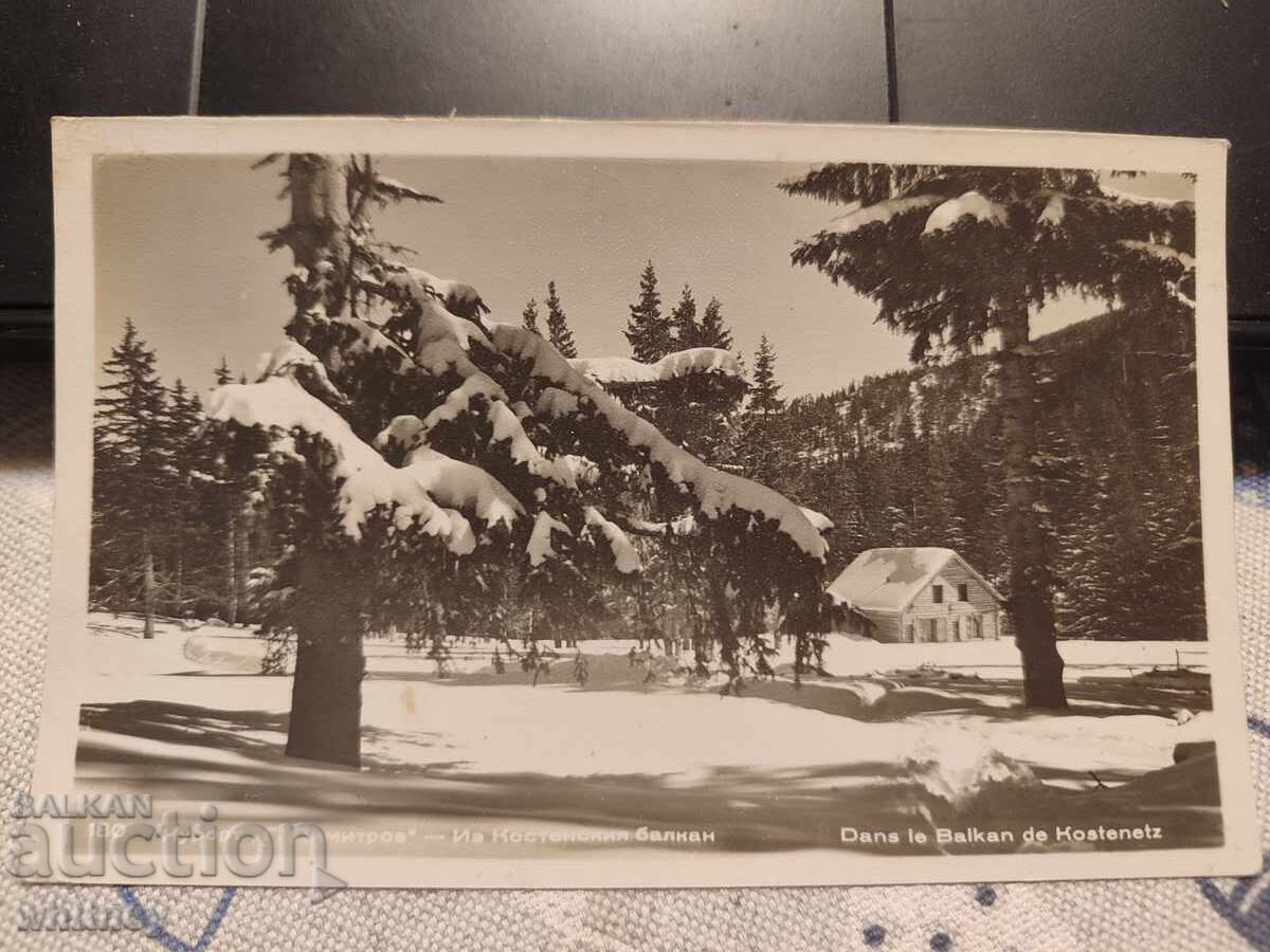 Летовище Георги Димитров 2