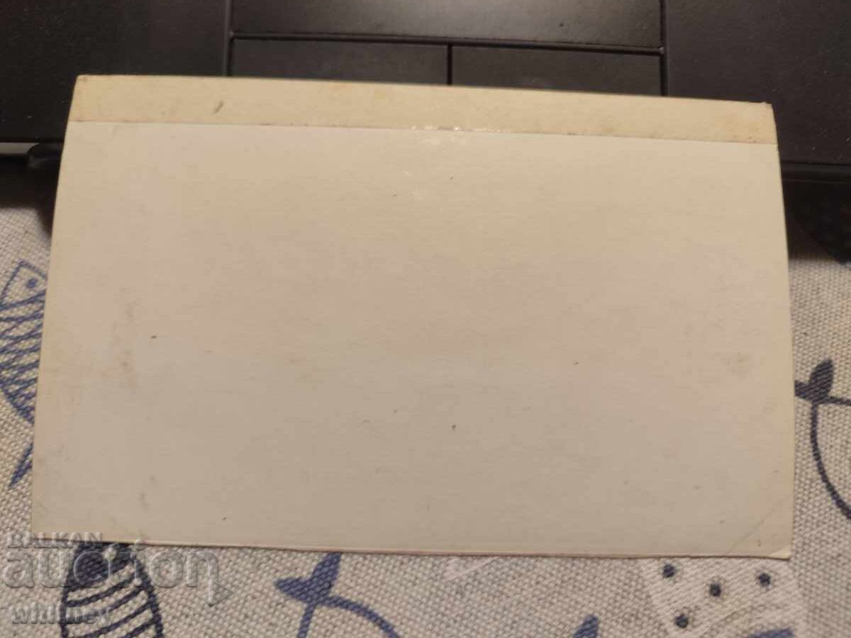 Летовище Георги Димитров 11 с цена 2.99 лв. | € 1.53