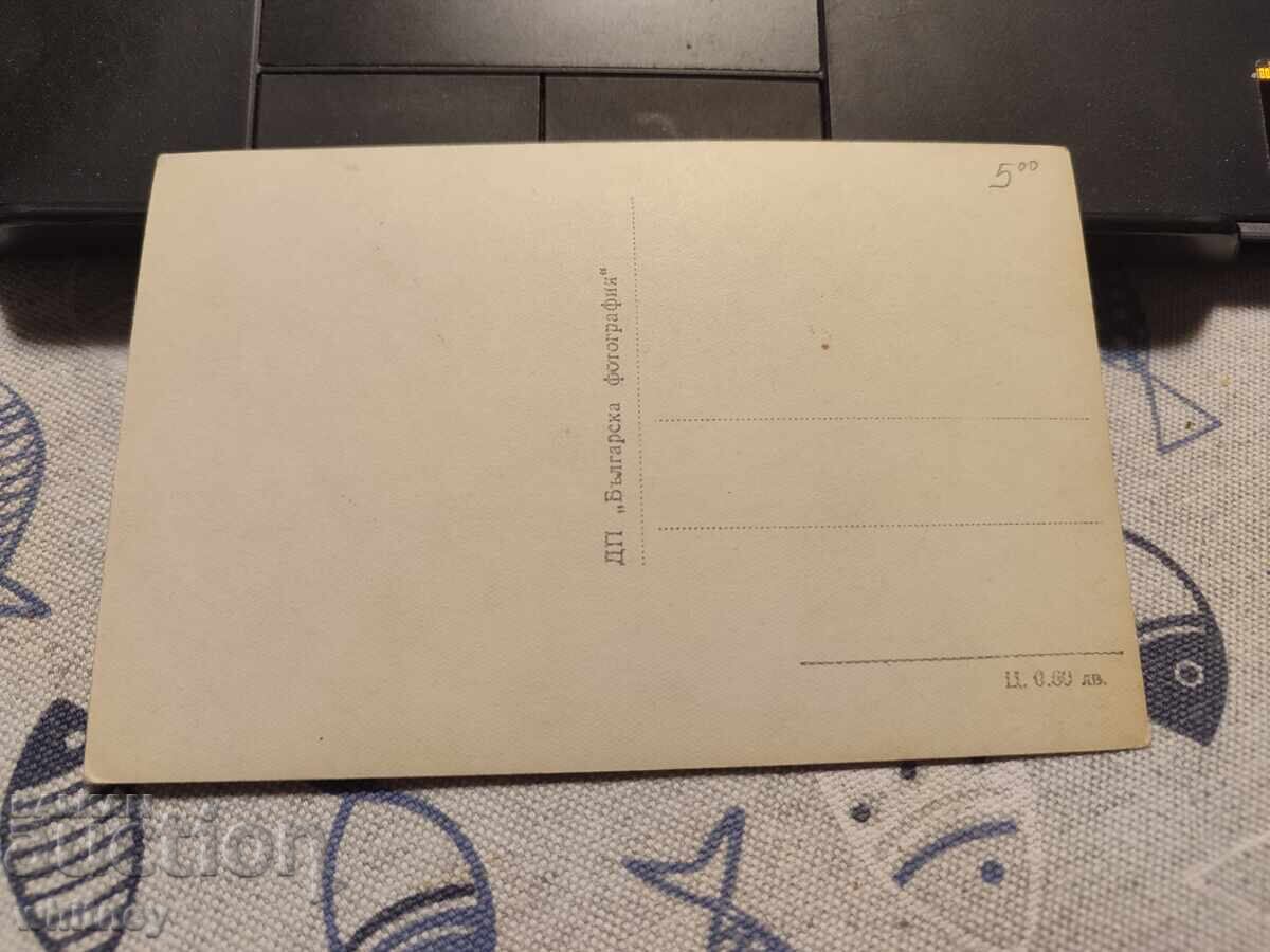 Панагюрище 5 с цена 2.99 лв. | € 1.53