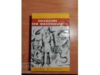 ΕΠΙΣΚΕΨΗ ΣΤΟΝ ΜΙΝΩΤΑΥΡΟ