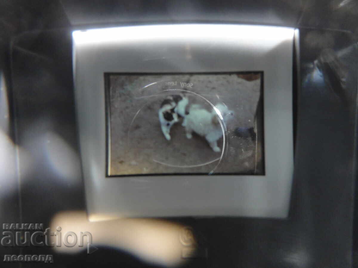 BZTS ΣΤΑΡ ΡΕΤΡΟ ΔΙΑΣΚΟΠΙΟ ΓΙΑ ΔΙΑΦΑΝΕΙΕΣ TELEFIX - 5 BZTS ΣΤΑΡ ΡΕΤΡΟ ΔΙΑΣΚΟΠΙΟ ΓΙΑ ΔΙΑΦΑΝΕΙΕΣ TELEFIX - 5