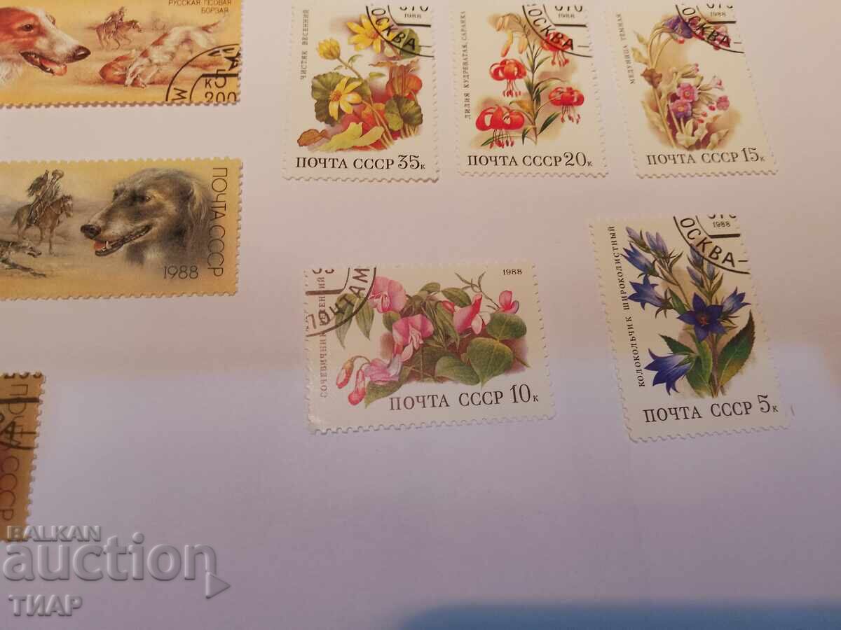 Auction  USSR postage stamps -0.01 cents