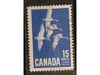 Καναδάς Πανίδα/Πουλιά