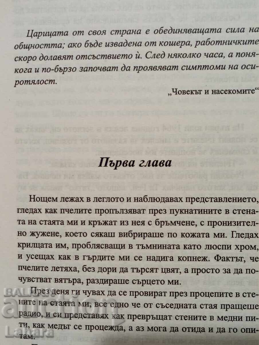 Licitație Viața secretă a albinelor - Sue Monk Kidd
