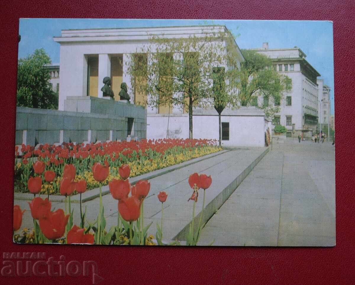 Σοφία Σοφία