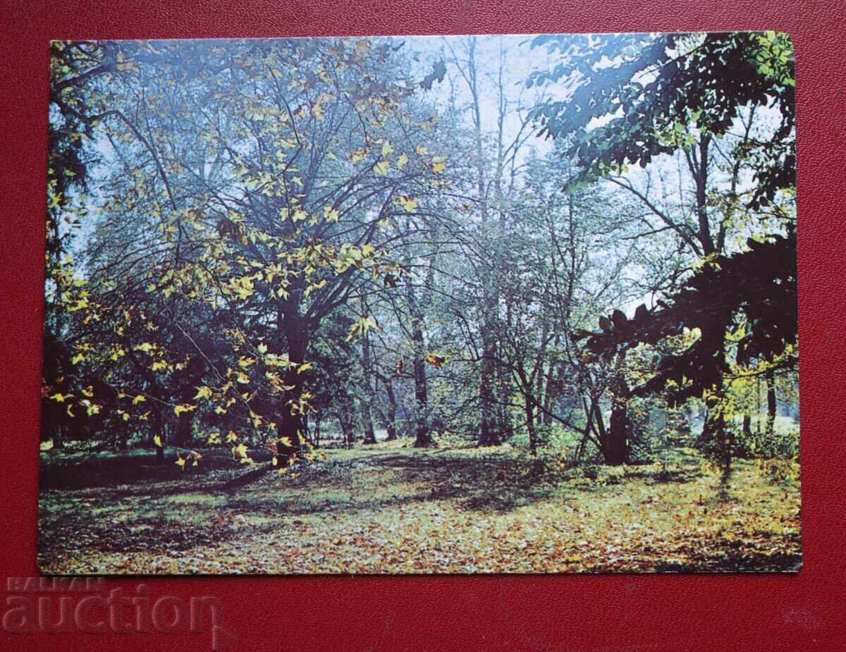 Σόφια-Πάρκο της Ελευθερίας