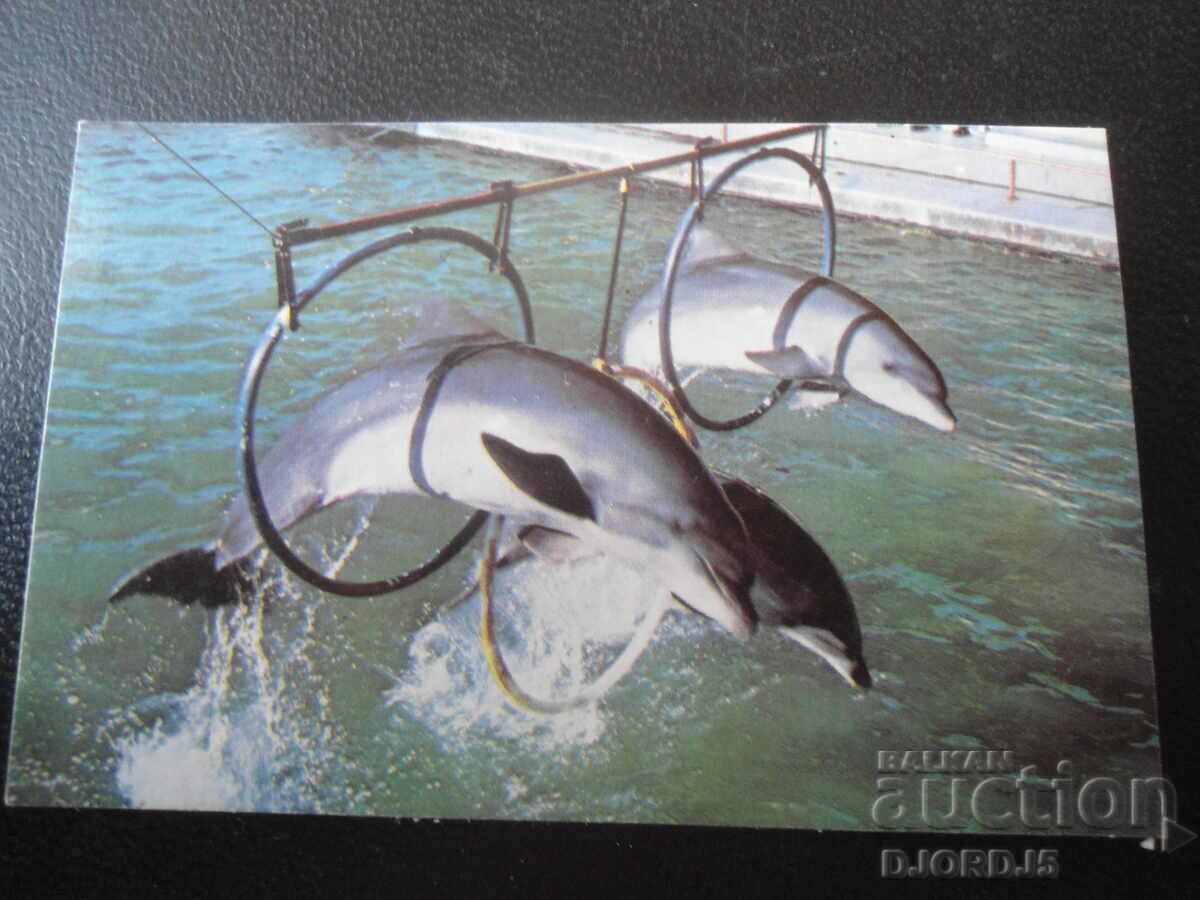 Παλαιό ρωσικό ημερολόγιο, 1993 Παλαιό ρωσικό ημερολόγιο, 1993