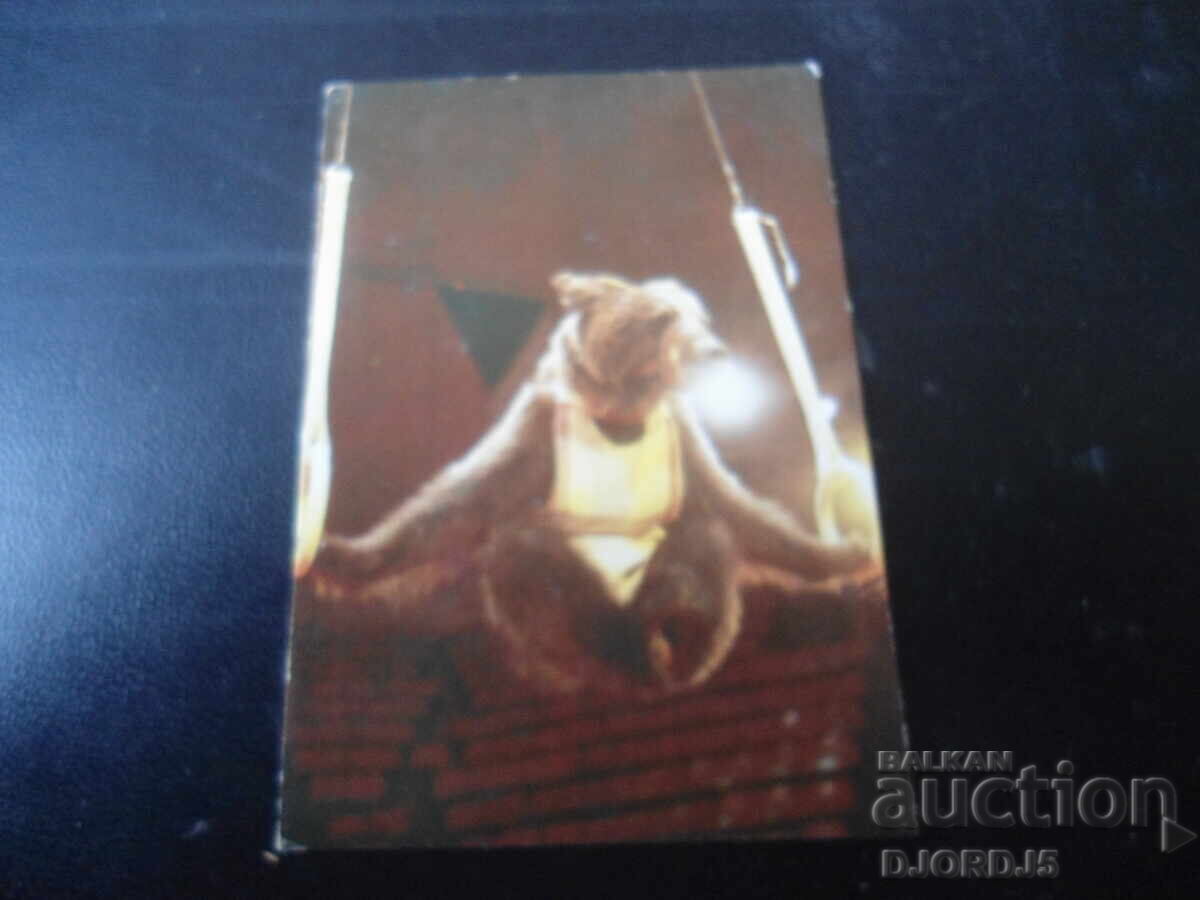 Παλαιό ρωσικό ημερολόγιο, 1981