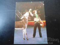 Παλαιό ρωσικό ημερολόγιο, 1981