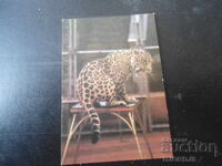 Calendar vechi rusesc, 1986