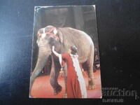 Παλαιό ρωσικό ημερολόγιο, 1983