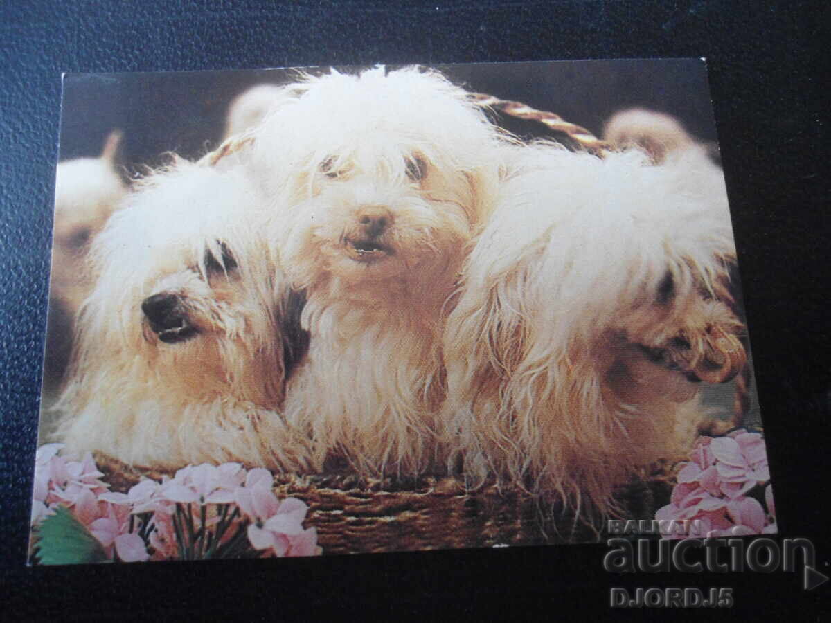 Παλαιό ρωσικό ημερολόγιο, 1982 Παλαιό ρωσικό ημερολόγιο, 1982