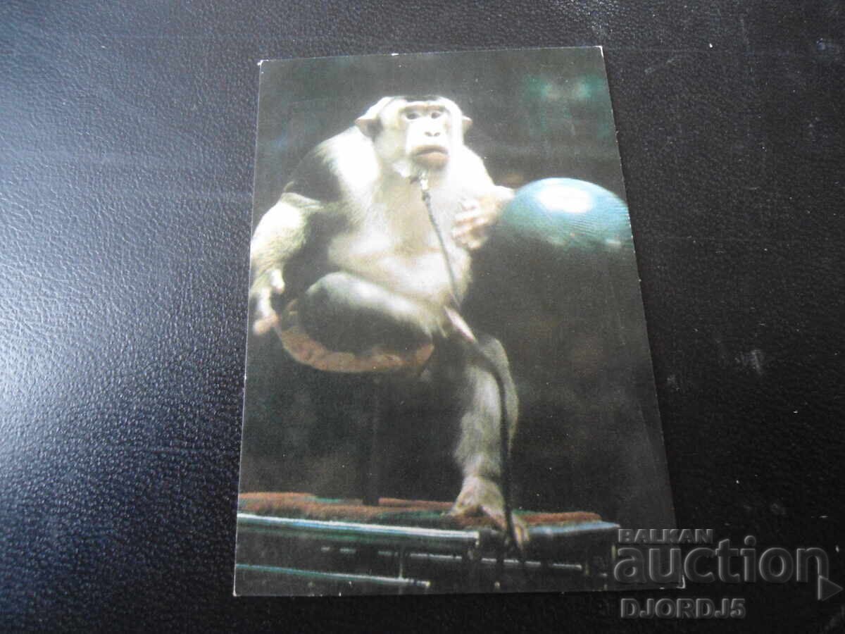 Old Russian calendar, 1984 Old Russian calendar, 1984