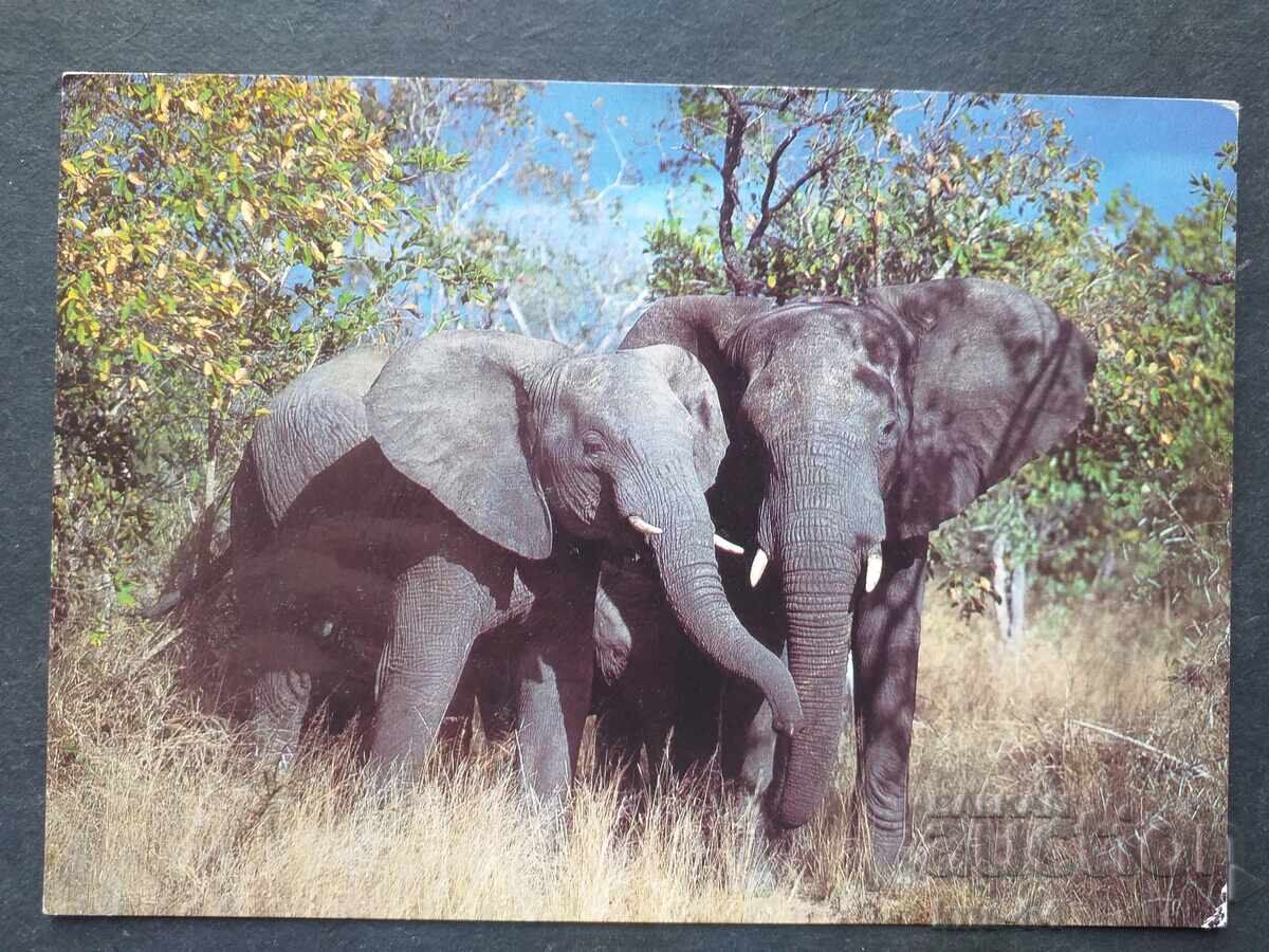 Южна Африка Пътувала Южна Африка Пътувала