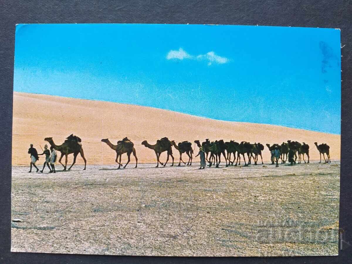 Либия Пътувала Либия Пътувала