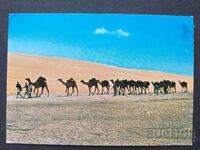 Либия   Пътувала