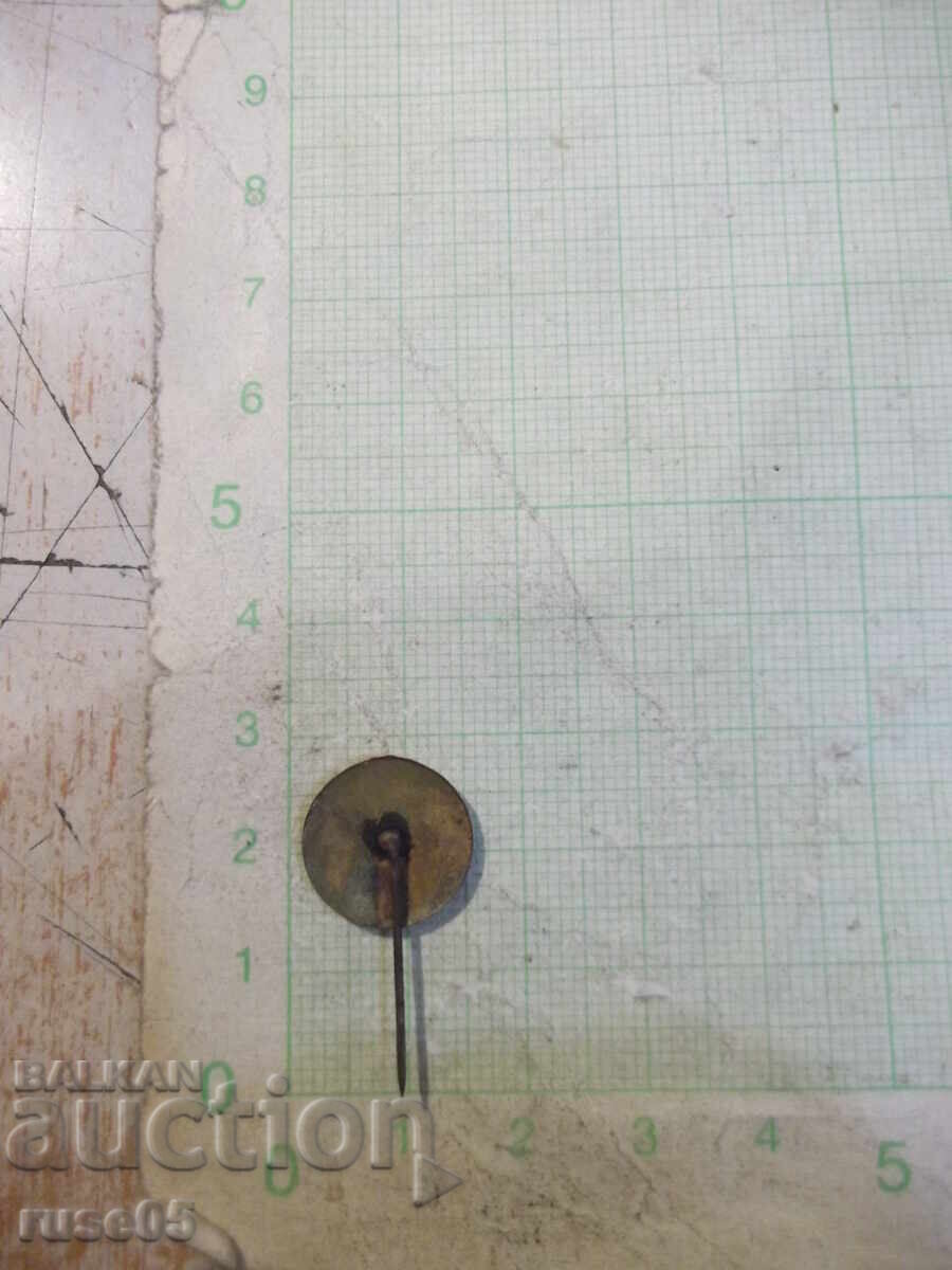 Edelweiss Badge with price 5.00 BGN | € 2.56