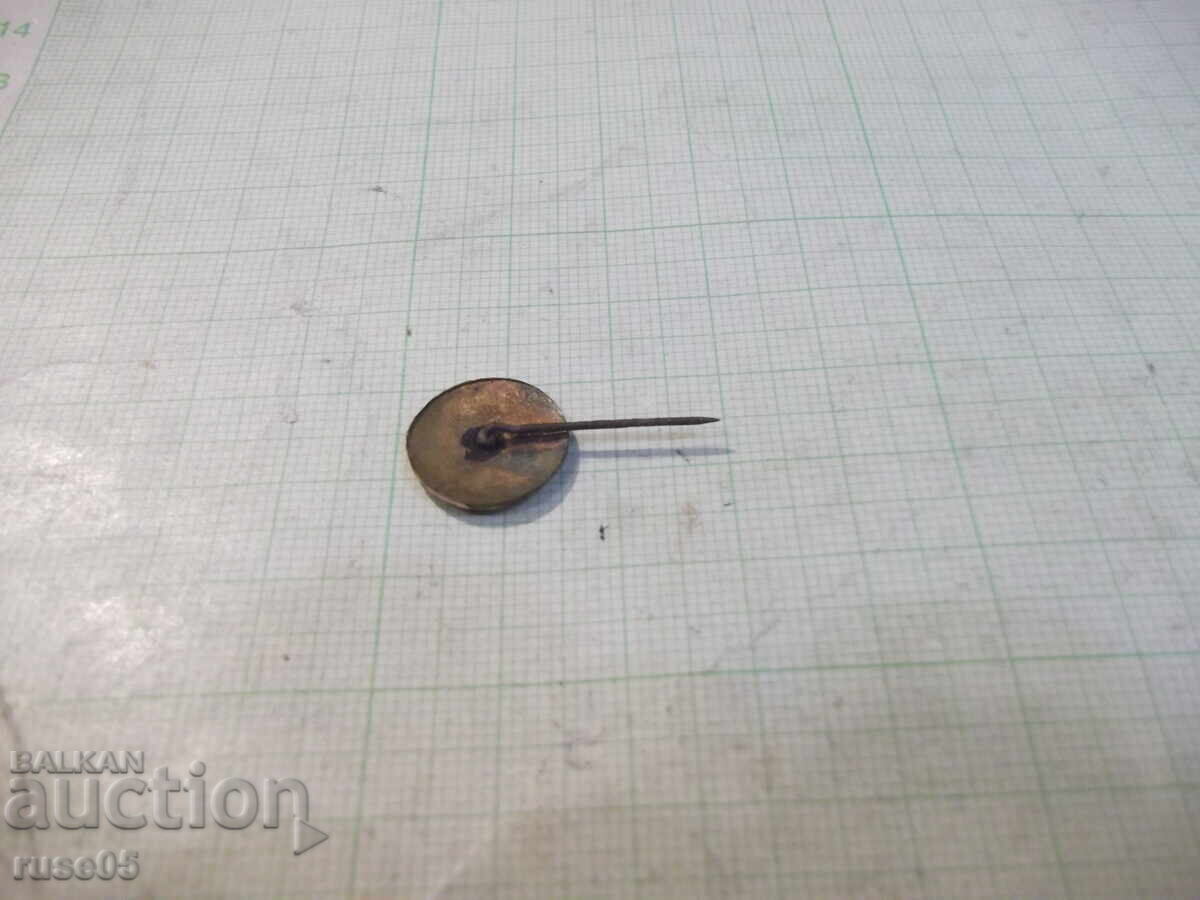 Auction  Edelweiss Badge