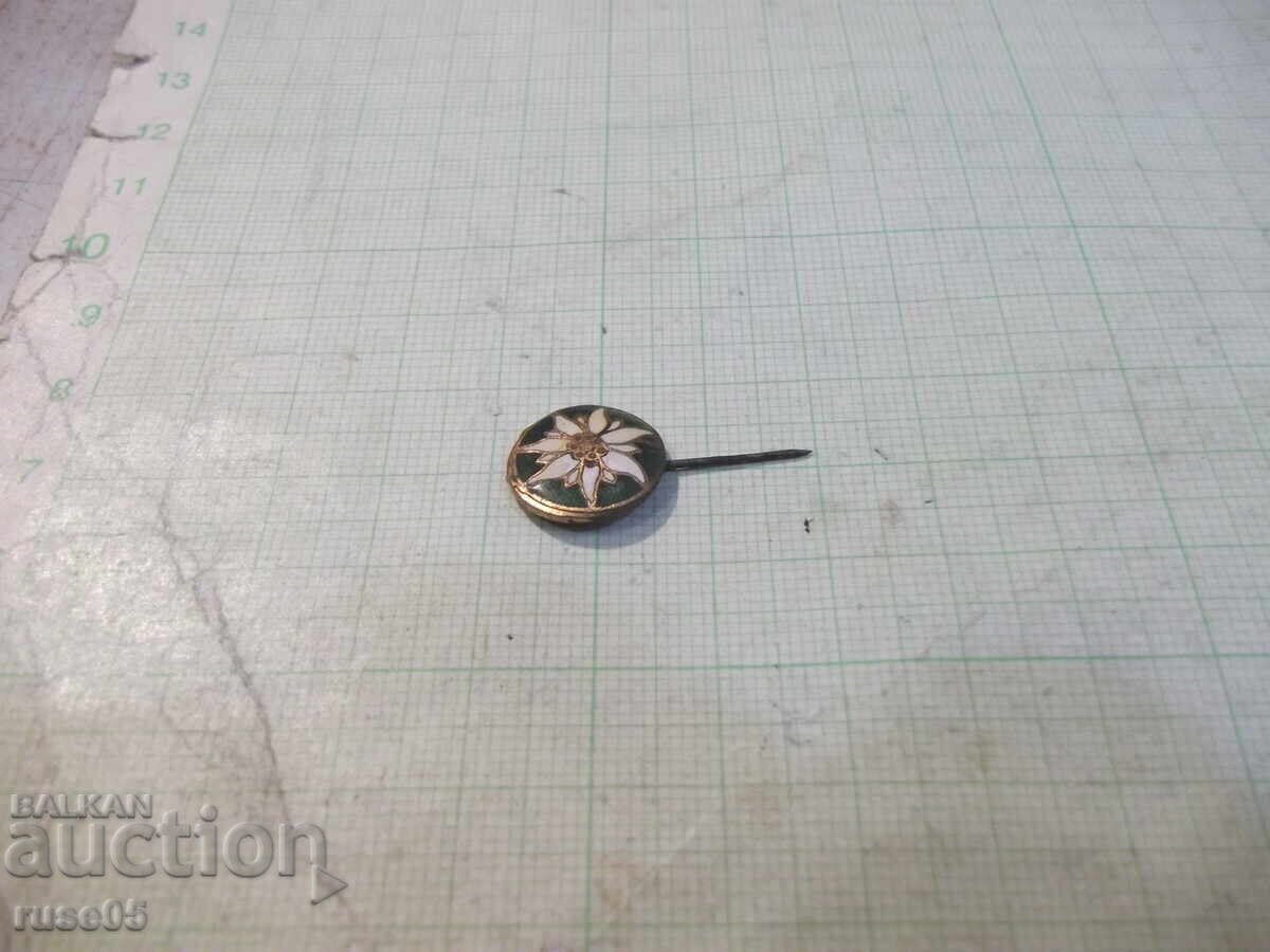 Delivery of Edelweiss Badge