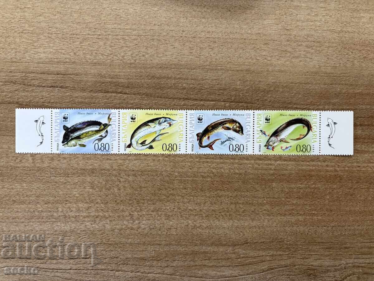 Βουλγαρία - Παγκόσμιο Ταμείο για τη Φύση - Μουρούνα (2004) MNH Βουλγαρία - Παγκόσμιο Ταμείο για τη Φύση - Μουρούνα (2004) MNH