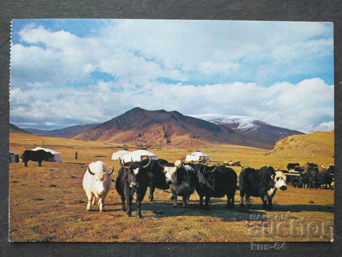 Mongolia Traveled Mongolia Traveled