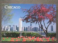 САЩ   Пътувала