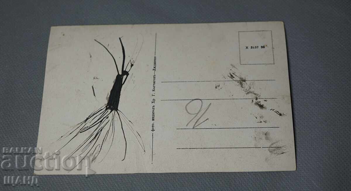 Стара  Пощенска картичка просека над Юндола с цена 2.35 лв. | € 1.20