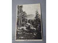 Παλιά ταχυδρομική κάρτα με θέα την περιοχή πάνω από το Γιούντολα