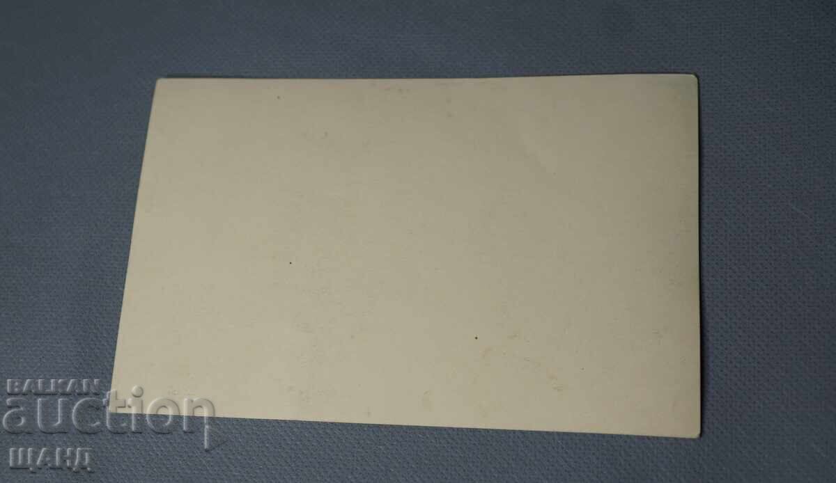 1952 Ταχυδρομική κάρτα φωτογραφία Πιρίν Τοντορίν Βράχος με τιμή 2.35 BGN | € 1.20