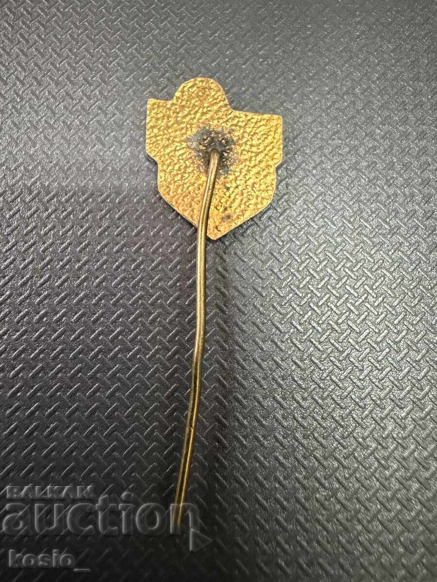 Licitație Ecuson emailat fotbal Arda Kărdjali