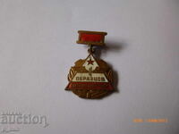 Σηματάκι στήθους - Υποδειγματικός σιδηροδρομικός