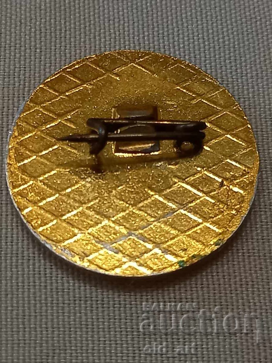 Auction  Badge - Veliko Tarnovo - A Glance at the Centuries