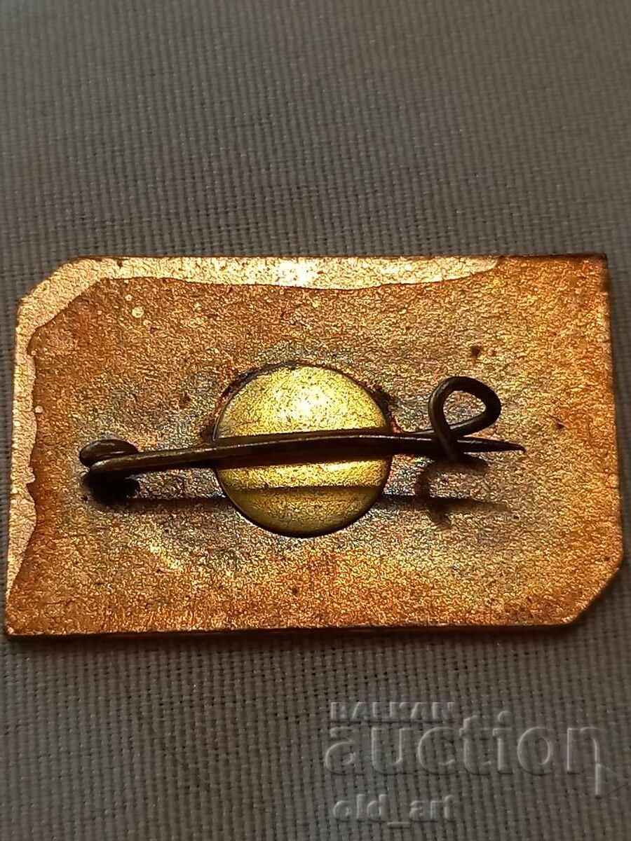 Badge - Distinguished Mechanizer with price 17.00 BGN | € 8.69