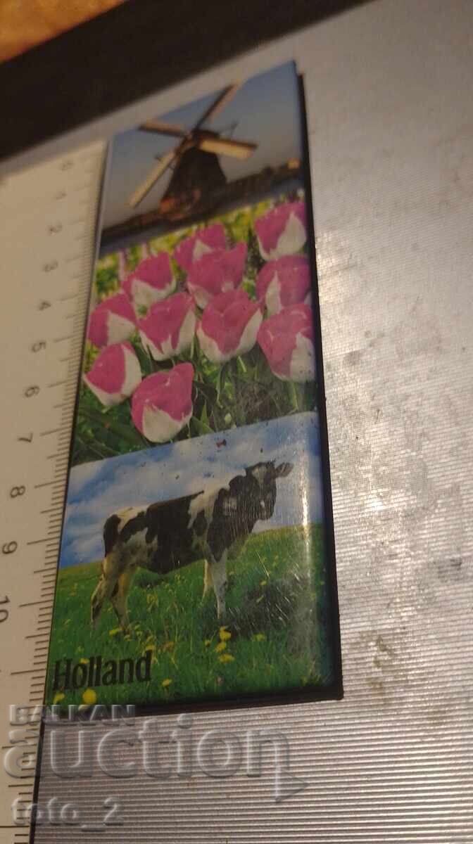 SOUVENIR / MAGNET / HOLLAND