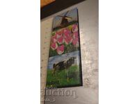 SOUVENIR / MAGNET / HOLLAND