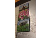 SUVENIR /MAGNET /OLANDA