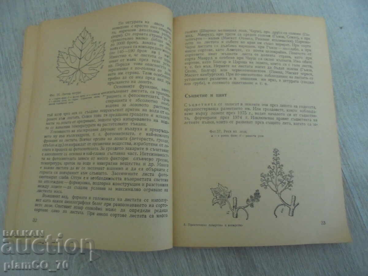 Δημοπρασία №*8392 παλιό βιβλίο - "Πρακτική αμπελουργία και οινοποιία" Δημοπρασία №*8392 παλιό βιβλίο - "Πρακτική αμπελουργία και οινοποιία"