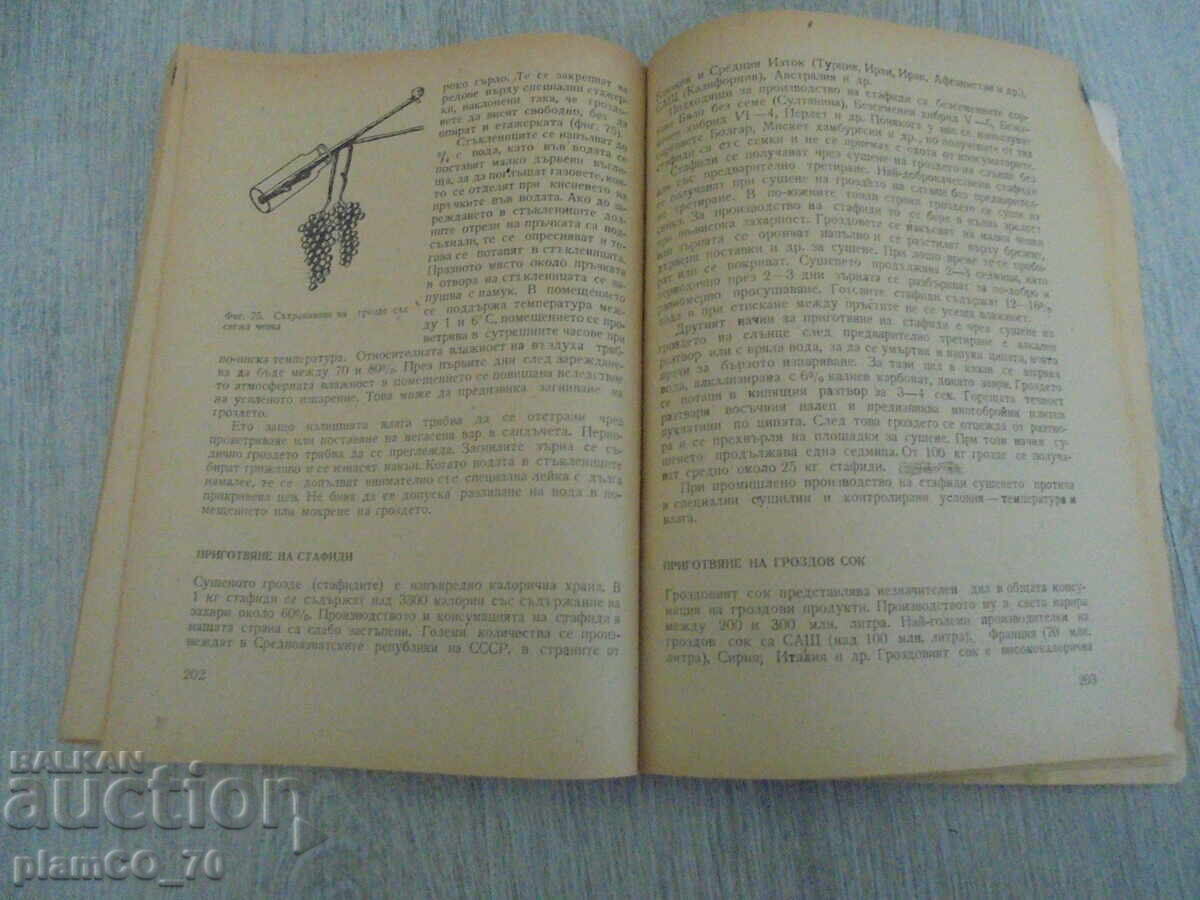 Παράδοση №*8392 παλιό βιβλίο - "Πρακτική αμπελουργία και οινοποιία" Παράδοση №*8392 παλιό βιβλίο - "Πρακτική αμπελουργία και οινοποιία"