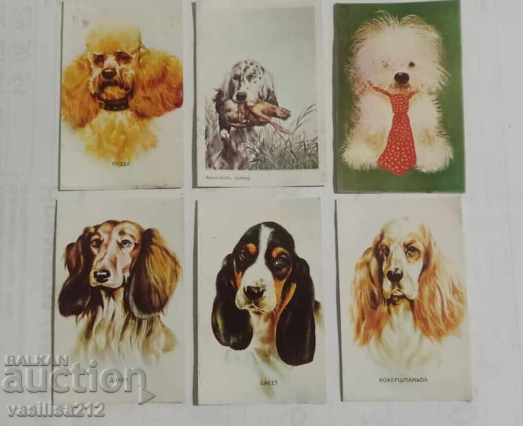 Lot of dog calendars with price 4.00 BGN | € 2.05