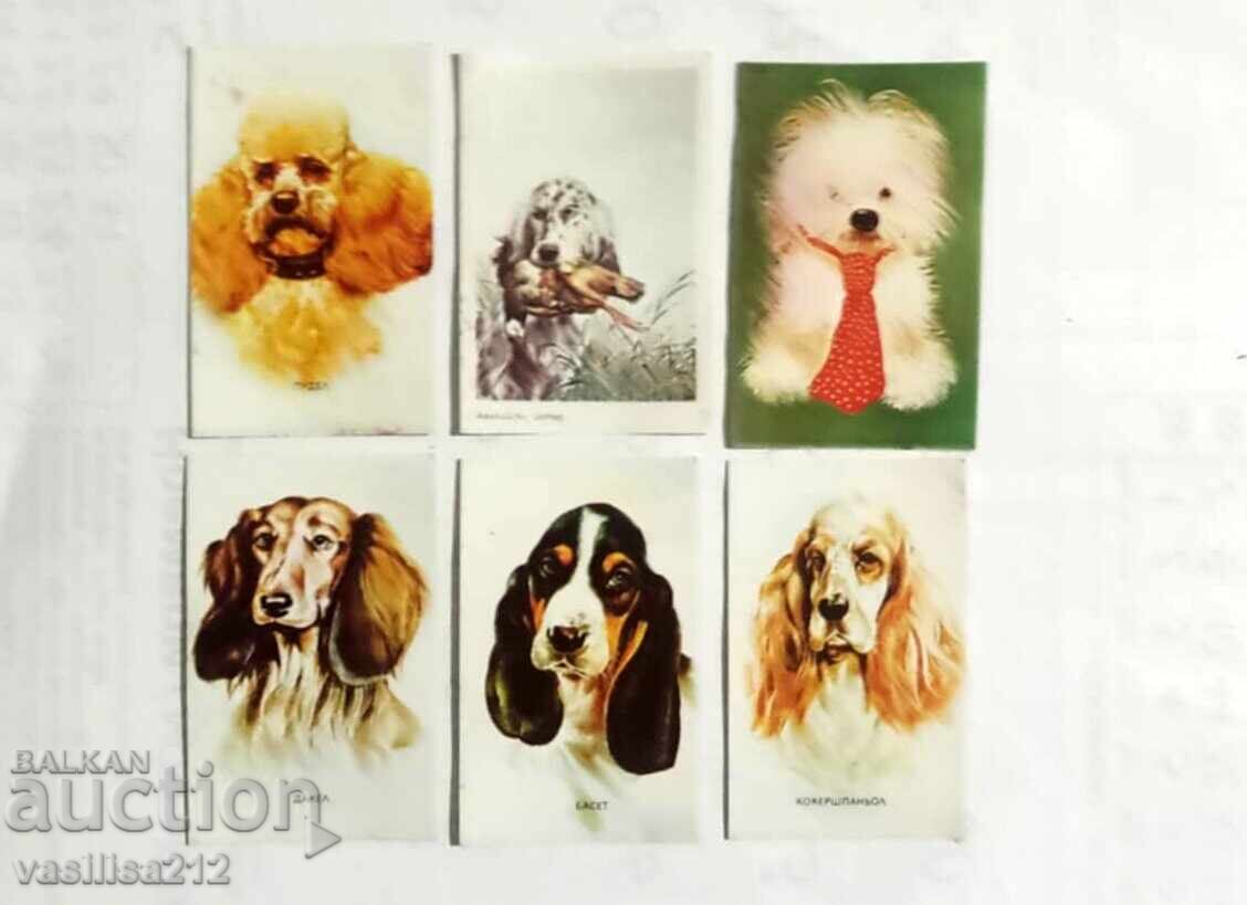 Lot of dog calendars