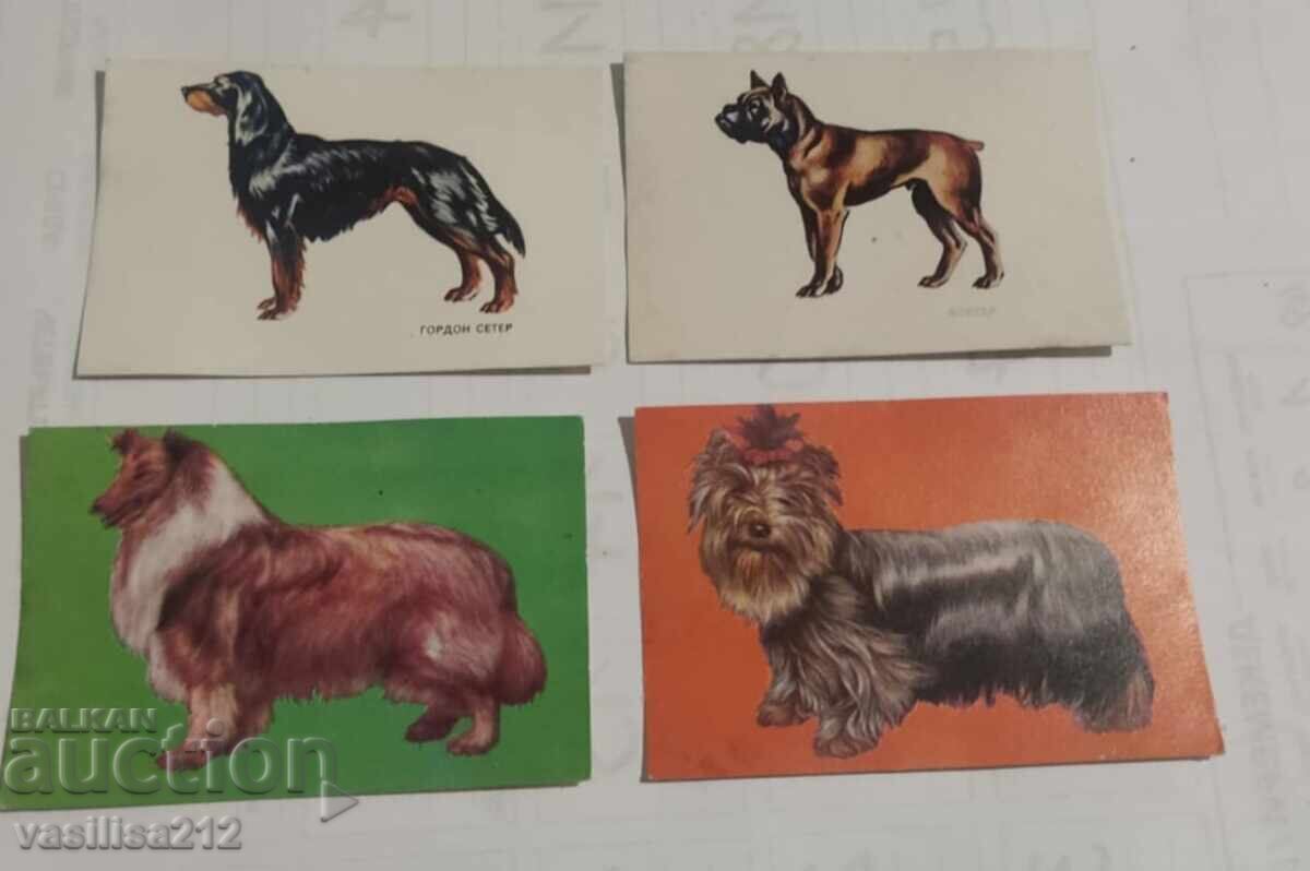 Lot calendaruțe-câini