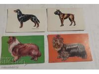 Lot calendaruțe-câini