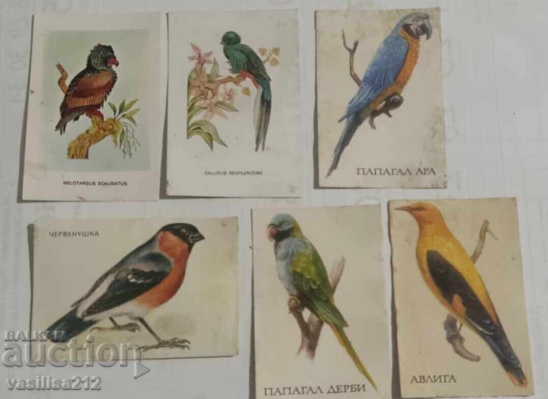 Lot calendaruțe-păsări cu preț € 0.01 | 0.02 BGN
