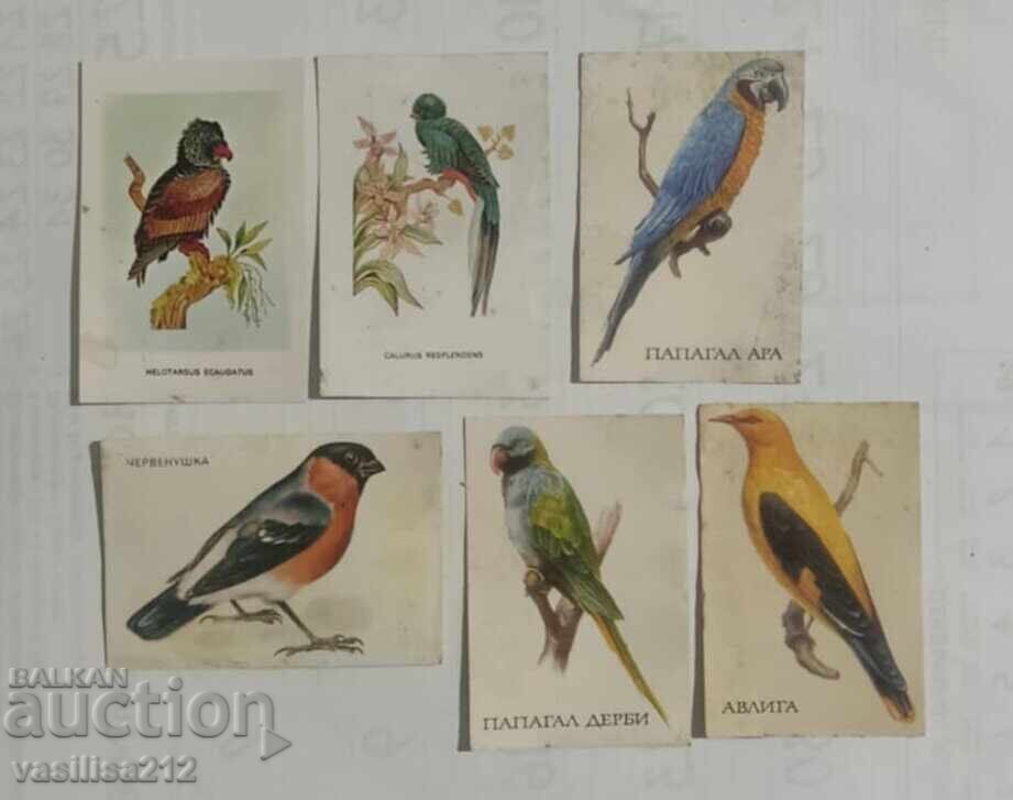 Lot of bird calendars